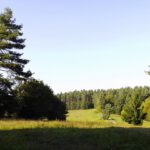 Stockenfelser Hinterland