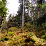 Großalmeyerschloss Großalmeyerschloss