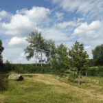 Freifläche am Ostende