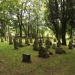 Friedhof Nové Domky