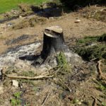 Hat es hier vor kurzem gebrannt? Hat es hier vor kurzem gebrannt?