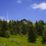 Zwieseler Hütte Zwieseler Hütte