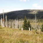 Flaches Luzenské údolí Flaches Luzenské údolí