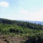 Freier Blick zu Sádek und Čerchov