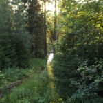 Sonnenreflexion in der Kleinen Ohe