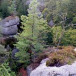 Zwiegespräch unter Riesen