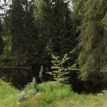 Zu sauber für Karlie