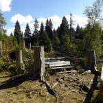 Der viel schönere kleine Picknickplatz