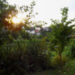 Sonnenmoment am Pfeifferweiher