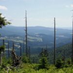 Der Rücken von Finsterau nach Mauth Der Rücken von Finsterau nach Mauth