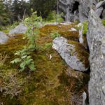 ...dafür gibt es ein windgeschütztes Brotzeitplatzerl ...dafür gibt es ein windgeschütztes Brotzeitplatzerl