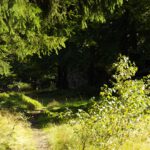 Anmarsch auf Schellenberg Anmarsch auf Schellenberg