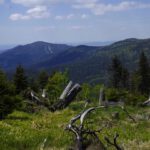 Kaitersberg und die ersten drei