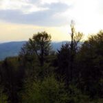 Dafür war das Lichtspiel in den Wolken ziemlich nett