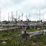 Kein Zugang zum Vysoký hřeben (Hochkamm)