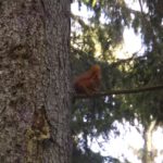 Foto des Tages Foto des Tages