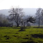 Das Restaurace liegt in dieser Richtung Das Restaurace liegt in dieser Richtung