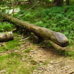 ...mal scheinbar unvollendet