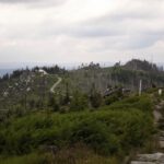 Dreisessel vor der Nase