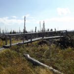 Die Brücken werden aber langsam baufällig