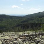 Am ersten Blockfeld des Tages Am ersten Blockfeld des Tages