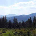 Hinten schaut der Arber durch Hinten schaut der Arber durch