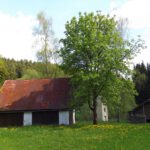 Der Obere Peugenhammer wird jetzt zur Stromerzeugung genutzt Der Obere Peugenhammer wird jetzt zur Stromerzeugung genutzt