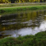 Immer wieder sorgen Steine für Strudel