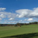 Schäfchenwolken über den Metzgerwiese