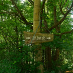 Alt-Oberpfälzer Schreibweise