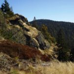 Ein bisserl ist davon noch da