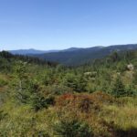 Schönes Tal des Großen Rachelbaches