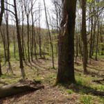 Bruchstelle Bruchstelle