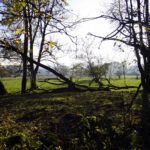 Hier dürfte jeder Baum seine kleine Geschichte haben Hier dürfte jeder Baum seine kleine Geschichte haben