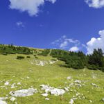 Skiabfahrt vom Schafreuter