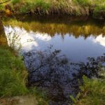 Zottbachspiegelung Zottbachspiegelung