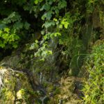 Kleinfall in den Rhein