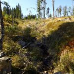 Namenloser Nebenbach des Jezerní potok