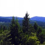 Rückblick auf die ersten Gipfel