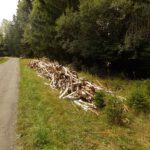 Diese Dinger könnte man triften