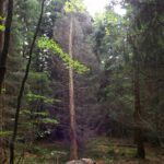 Aufgehalten und trotzdem tot