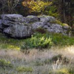 Keine Lust mehr, das Benennungsschild zu lesen