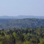 Panorama West Panorama West