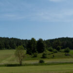 Und wo ist jetzt der Sand?