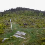 Wann kommt endlich der grün markierte Abzweig? Wann kommt endlich der grün markierte Abzweig?