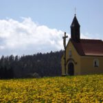 Schwedenkreuzkapelle mit Löwenzahn Schwedenkreuzkapelle mit Löwenzahn