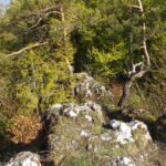 Netter Karstgrat Netter Karstgrat