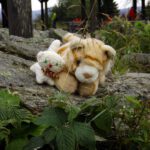 Hier dürfen Gina und Tina posieren