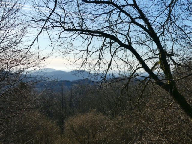 Durchblick zur südlichen Rhön