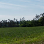 Aussicht Richtung Regensburg